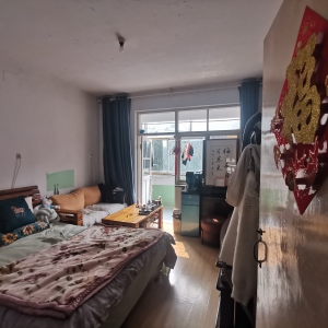 鲸园实验机关幼儿园好房