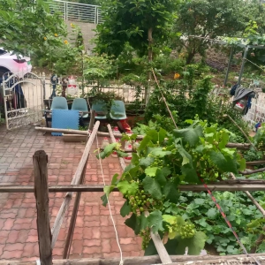 丽景茗都一楼带院