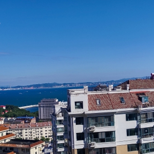 码头小学实验中学，恒宝天玺龙亭华府，285.14平，五室两厅