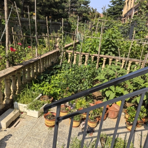 山水园带院带储藏室