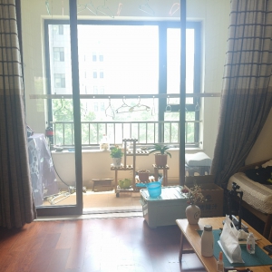 华发九龙湾精装2室