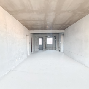 龙泽府 毛坯 全明户型