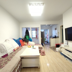 金猴绿色花园多层住人一楼三室带储藏室