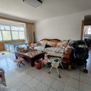 高区一小山大附中