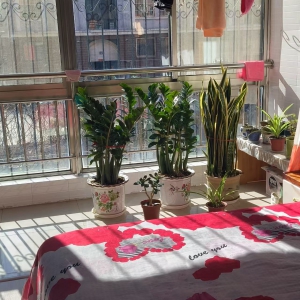 新世纪家园 有储藏室